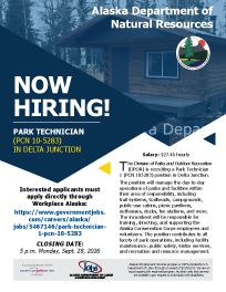 link to flyer